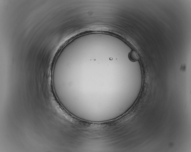 X0000112480840200909071155