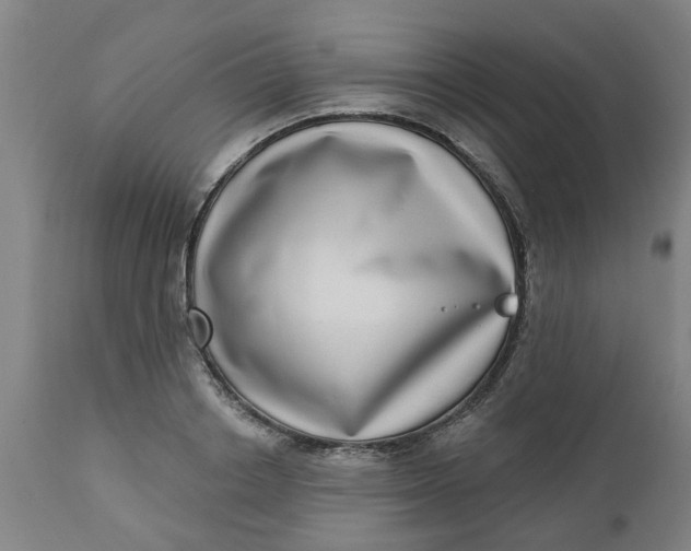 X0000112480842200909071155