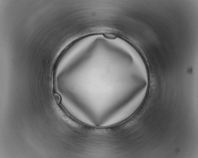 X0000112480843200909071155