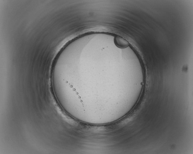 X0000112480845200909071155