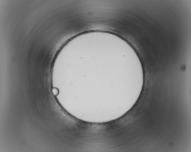 X0000112480848200909071155