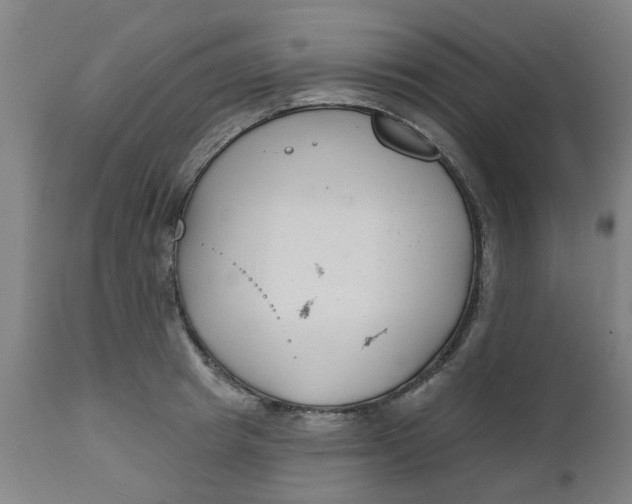 X0000112480849200909071155