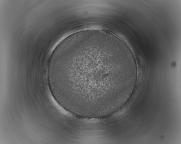 X0000112480851200909071155