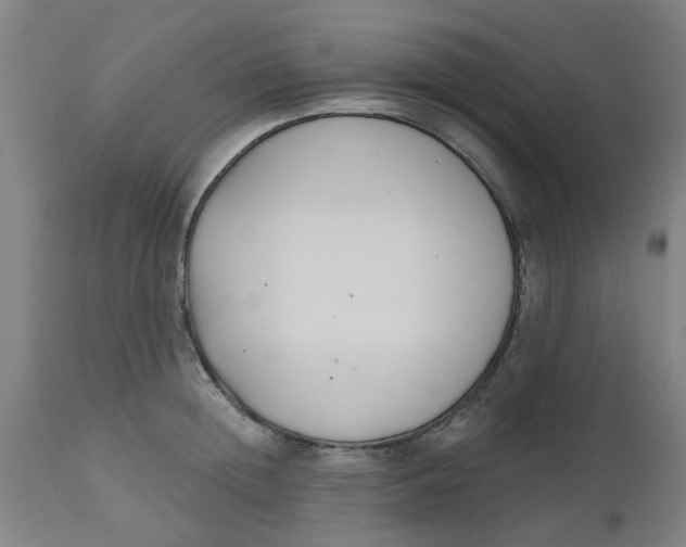 X0000112480852200909071155