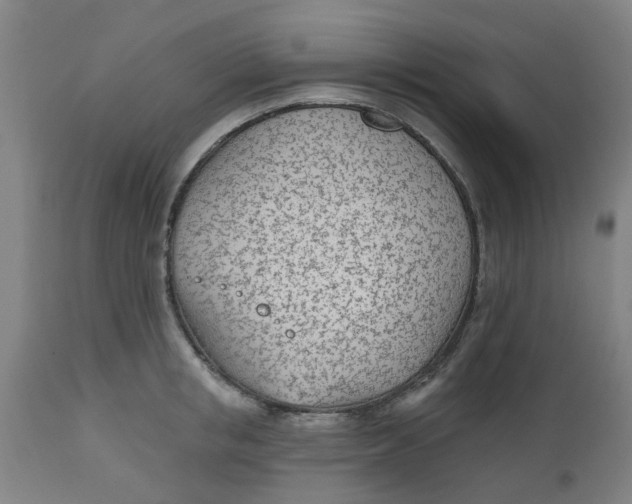 X0000112480853200909071155