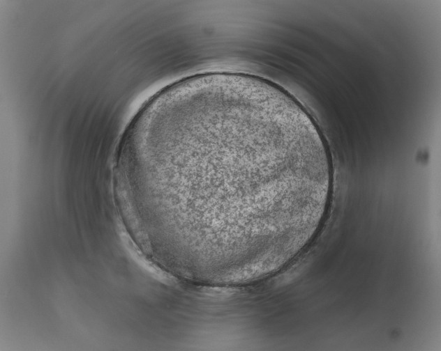 X0000112480854200909071155