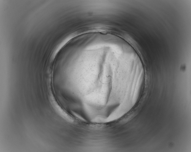 X0000112480859200909071155