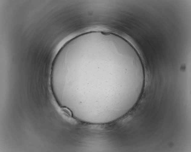 X0000112480861200909071155