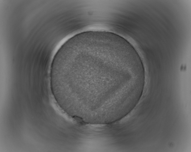 X0000112480864200909071155