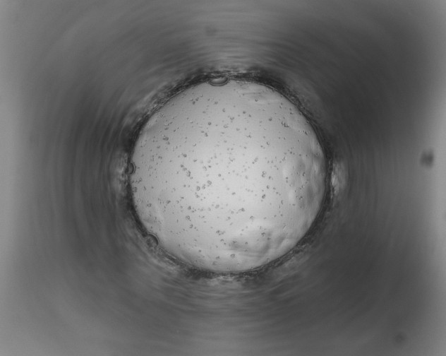 X0000112480867200909071154