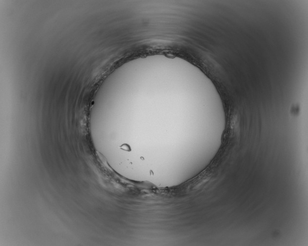 X0000112480868200909071154