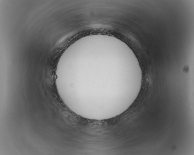 X0000112480869200909071154