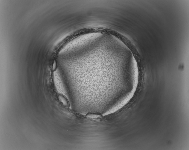 X0000112480871200909071154