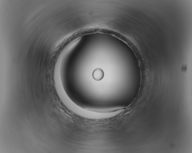 X0000112480872200909071154