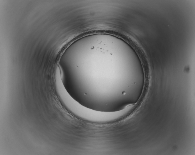 X0000112480873200909071154