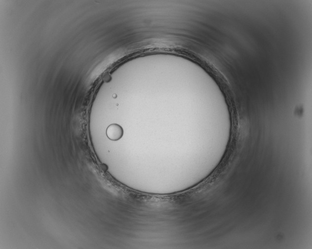 X0000112480874200909071154