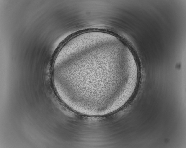 X0000112480875200909071154