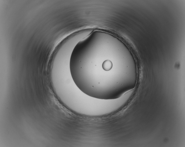 X0000112480876200909071154