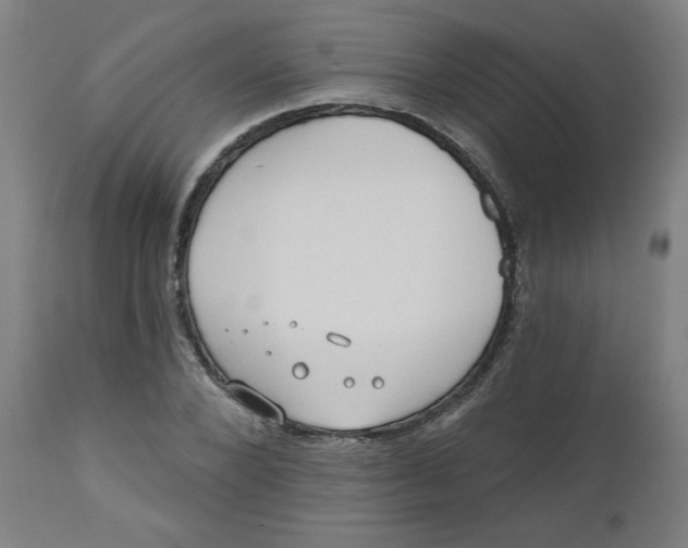 X0000112480880200909071154