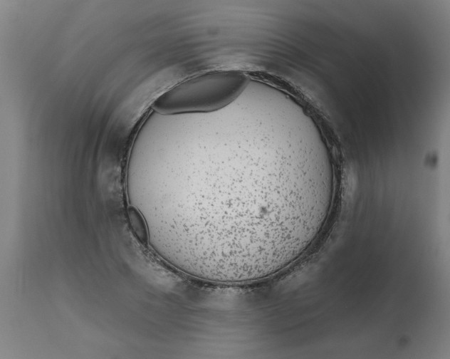 X0000112480881200909071154