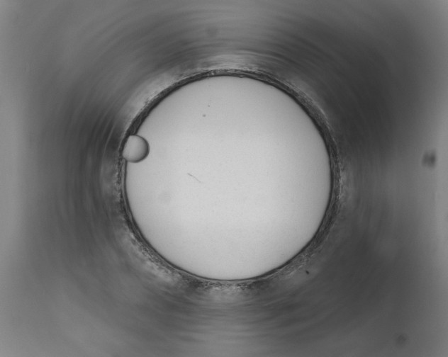 X0000112480882200909071154