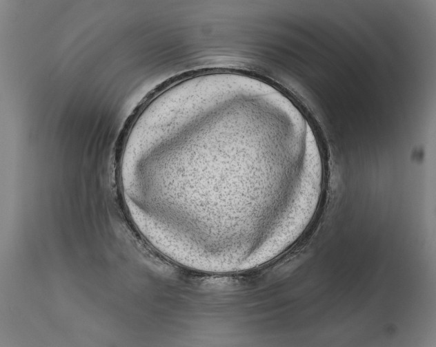 X0000112480883200909071154