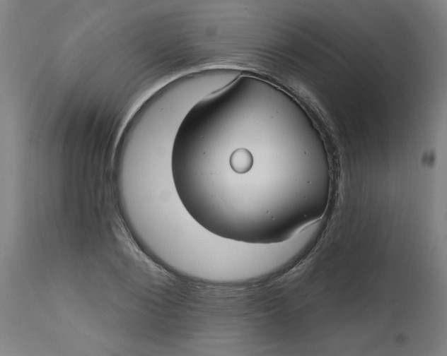 X0000112480884200909071154