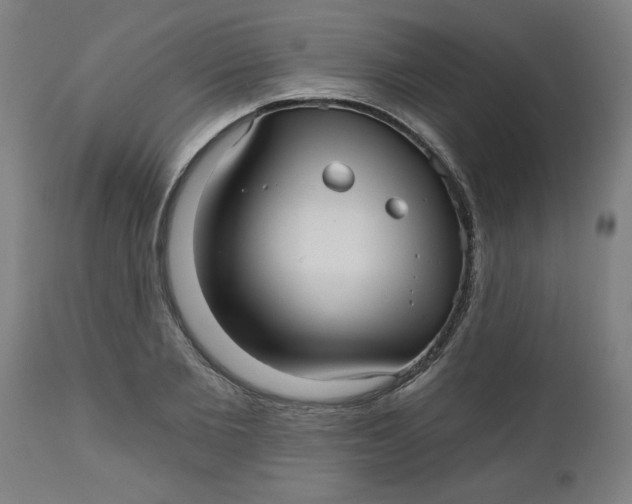 X0000112480885200909071154