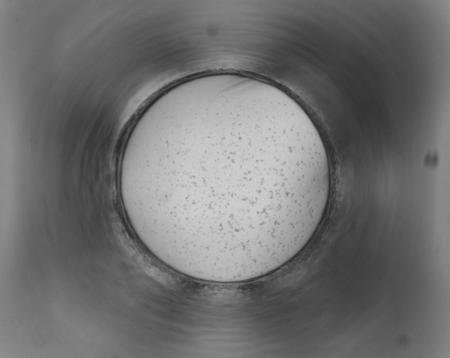 X0000112480886200909071154