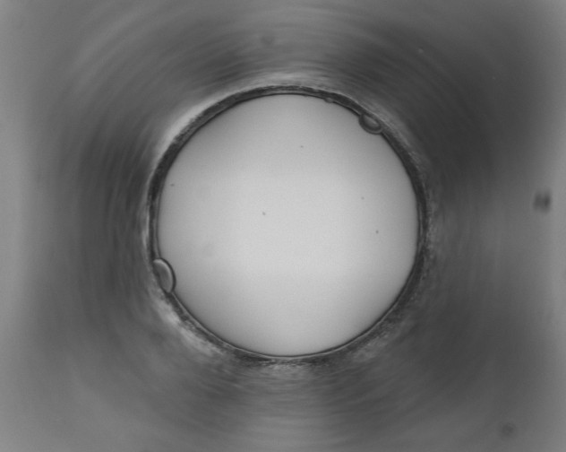 X0000112480888200909071154