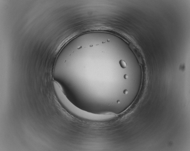 X0000112480889200909071154