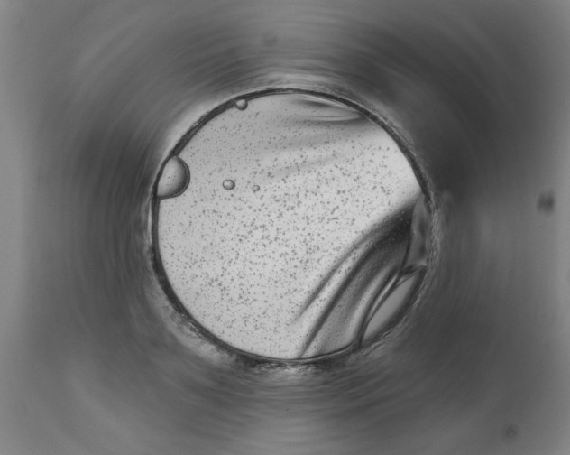 X0000112480891200909071154