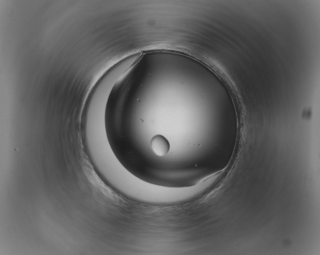 X0000112480892200909071154