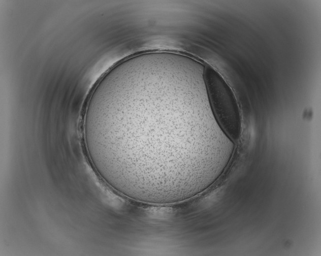 X0000112480893200909071154