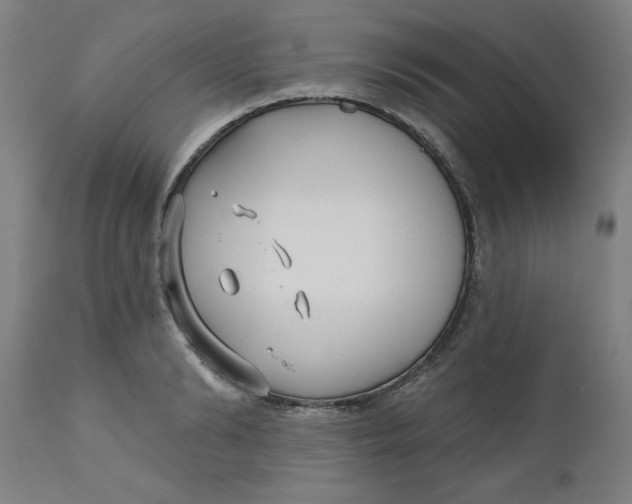 X0000112480894200909071154