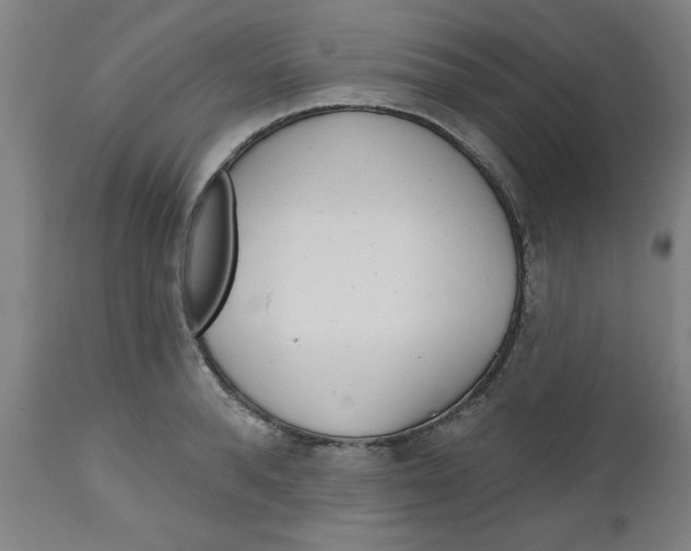 X0000112480896200909071154