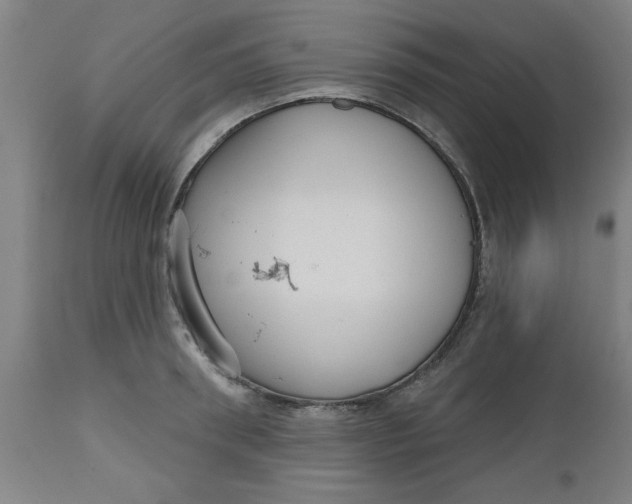 X0000112480898200909071154