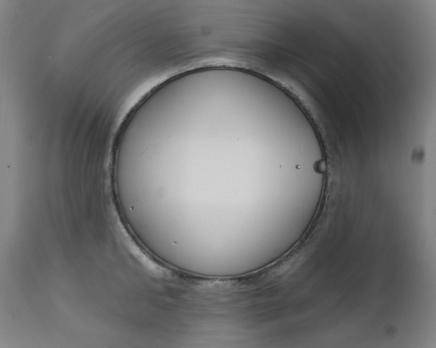 X0000112480902200909071154