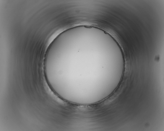 X0000112480906200909071154