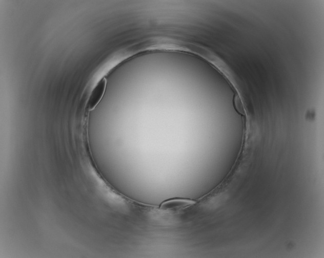 X0000112480909200909071154