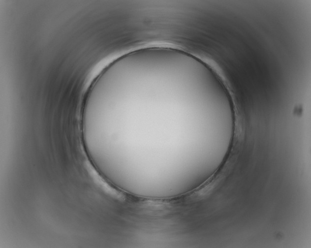 X0000112480910200909071154