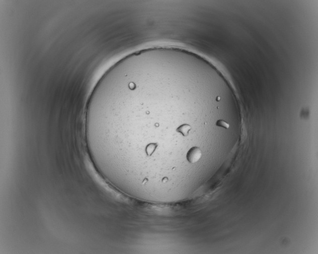 X0000112480911200909071154