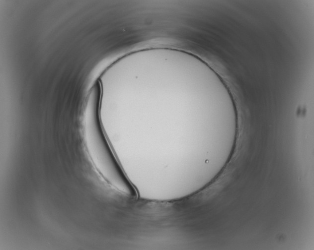 X0000112480912200909071153