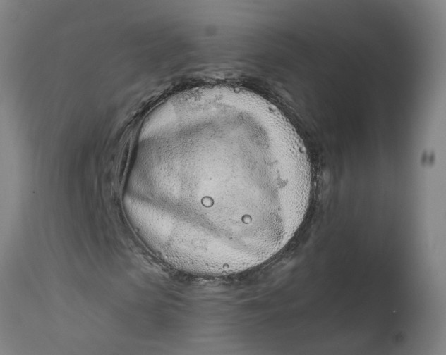 X0000112480913200909071153