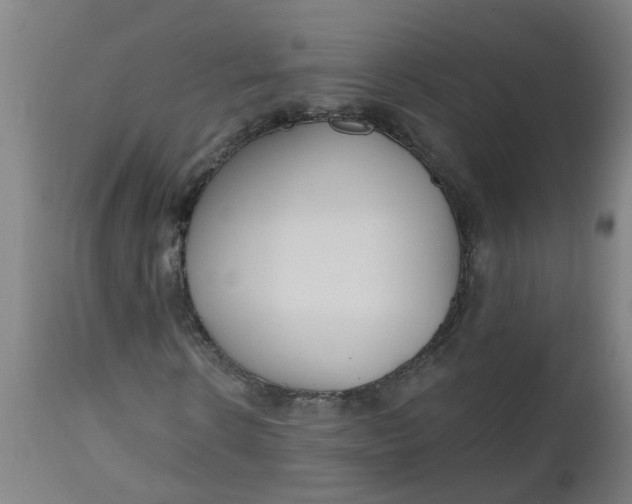 X0000112480914200909071153