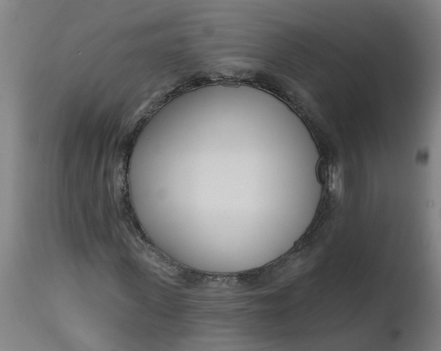 X0000112480915200909071153