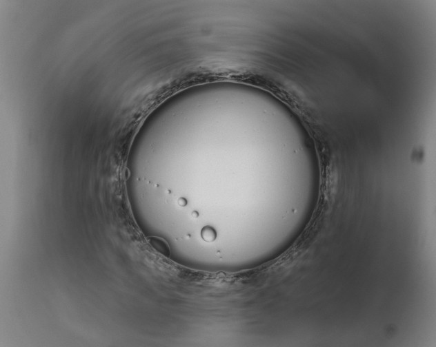 X0000112480917200909071153