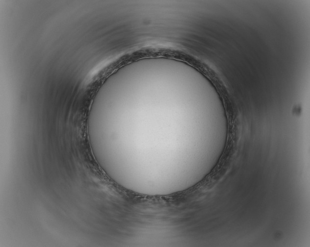 X0000112480919200909071153