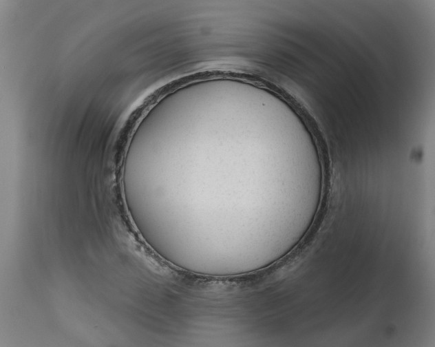 X0000112480923200909071153