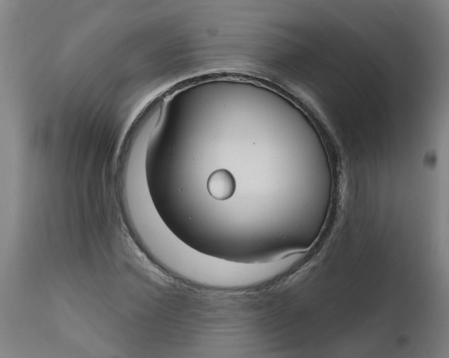 X0000112480924200909071153